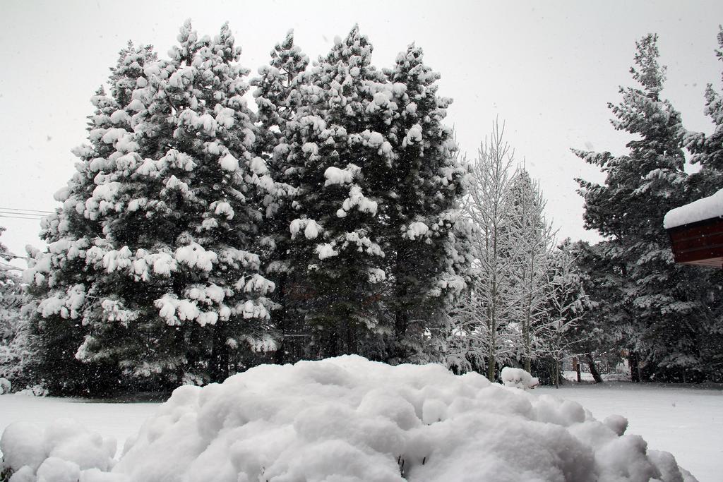 Hosteria Canela B&B Esquel Εξωτερικό φωτογραφία